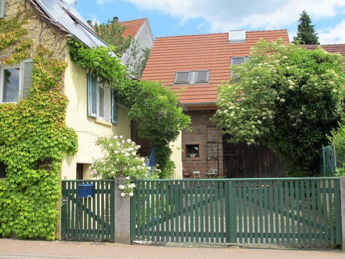 Ferienwohnung Spessart Strassbessenbach 외부 사진